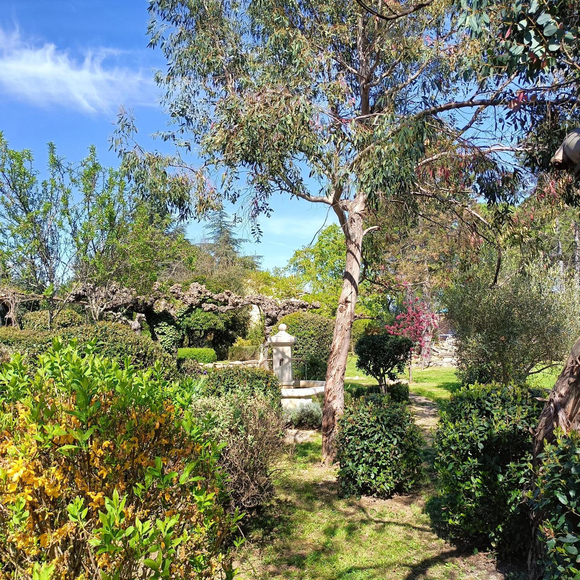 L'Arbre Du Magnan Villa Chandolas Екстериор снимка